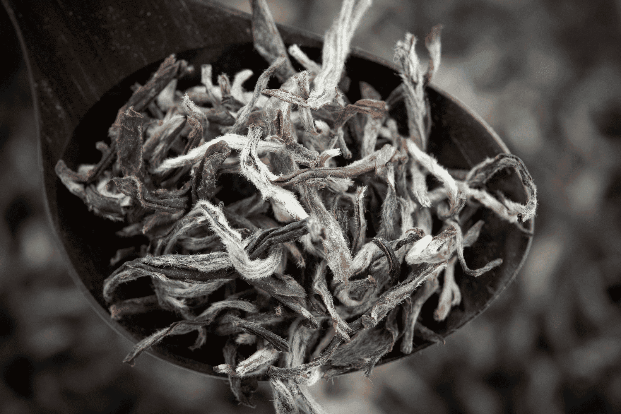 Image Stovell`s Blog