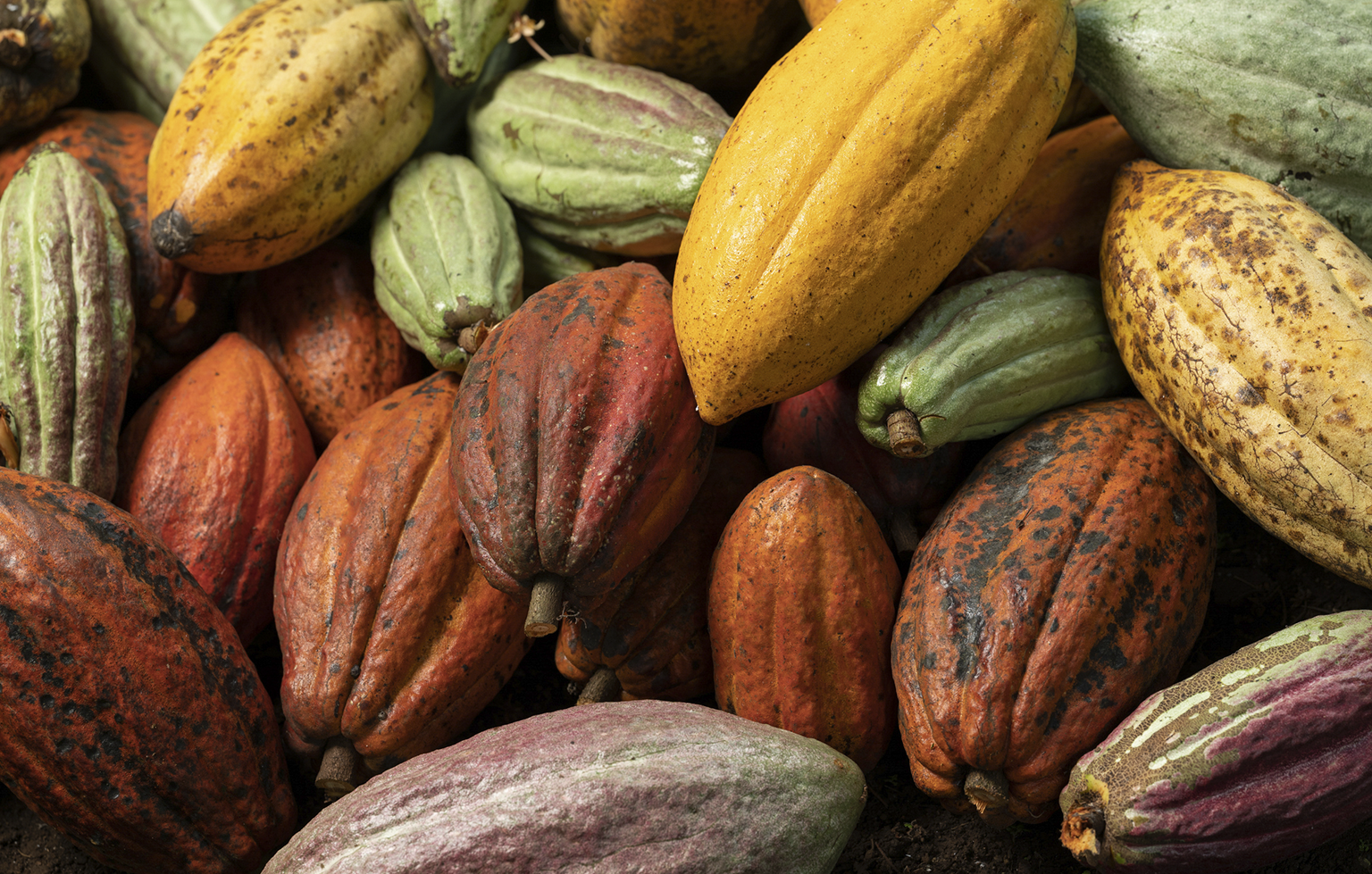 Image Stovell`s Blog