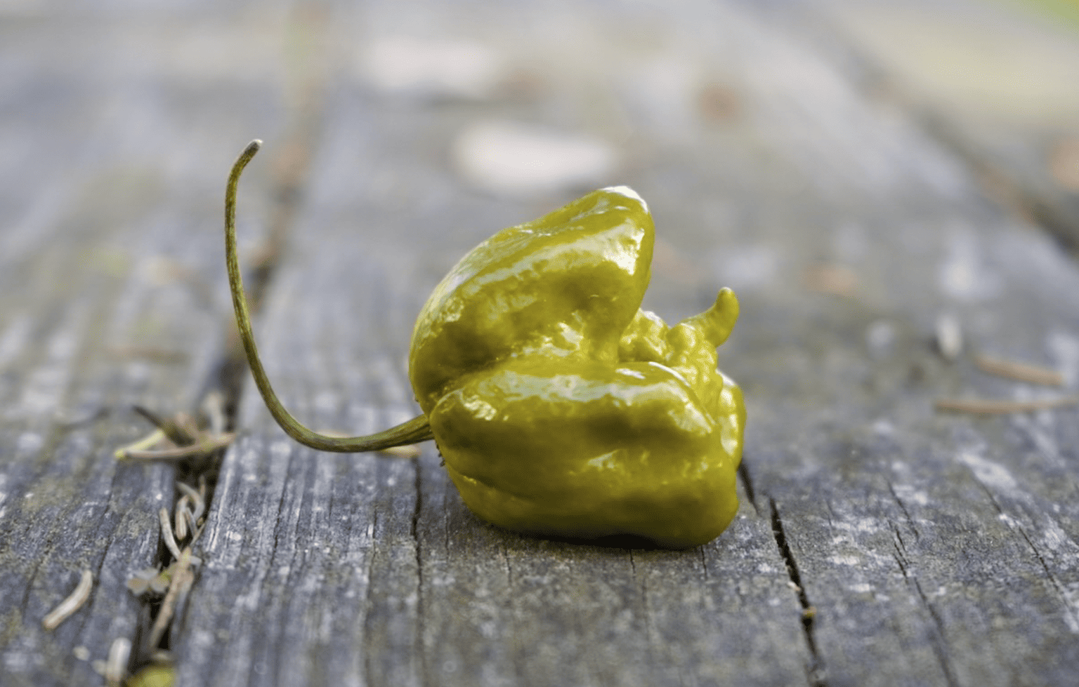 Image Stovell`s Blog