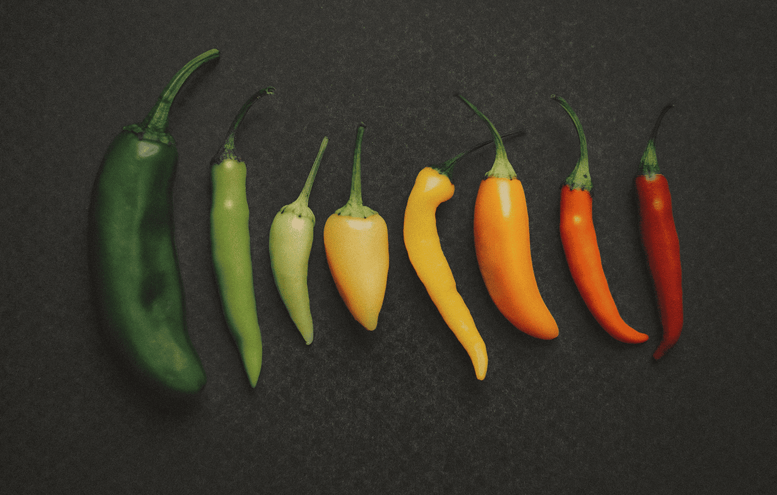 Image Stovell`s Blog