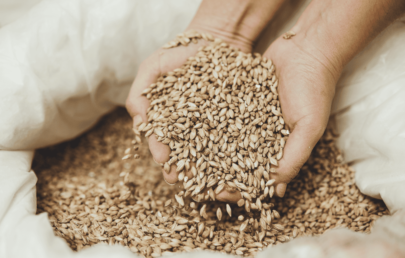 Image Stovell`s Blog