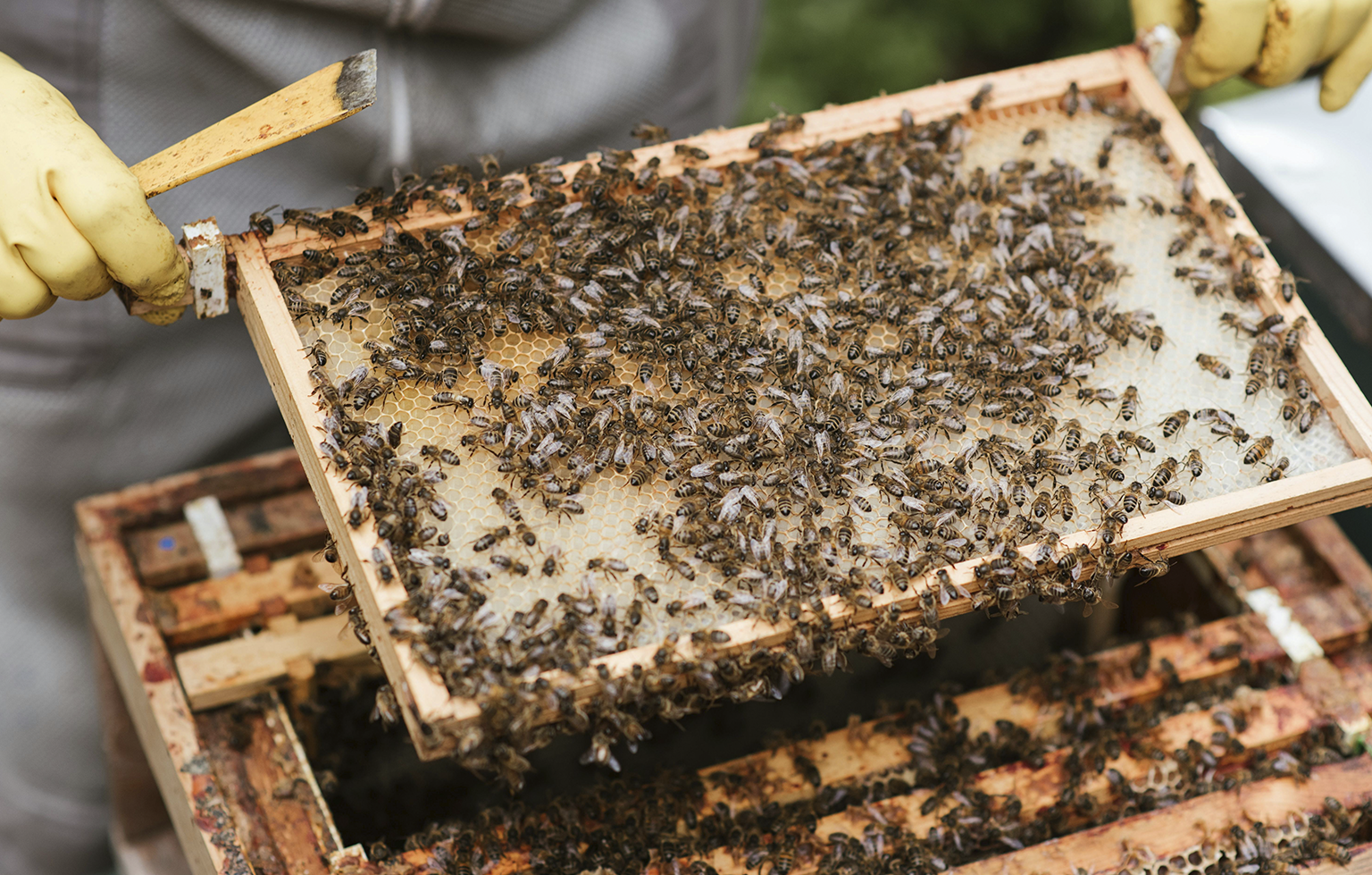 Image Stovell`s Blog