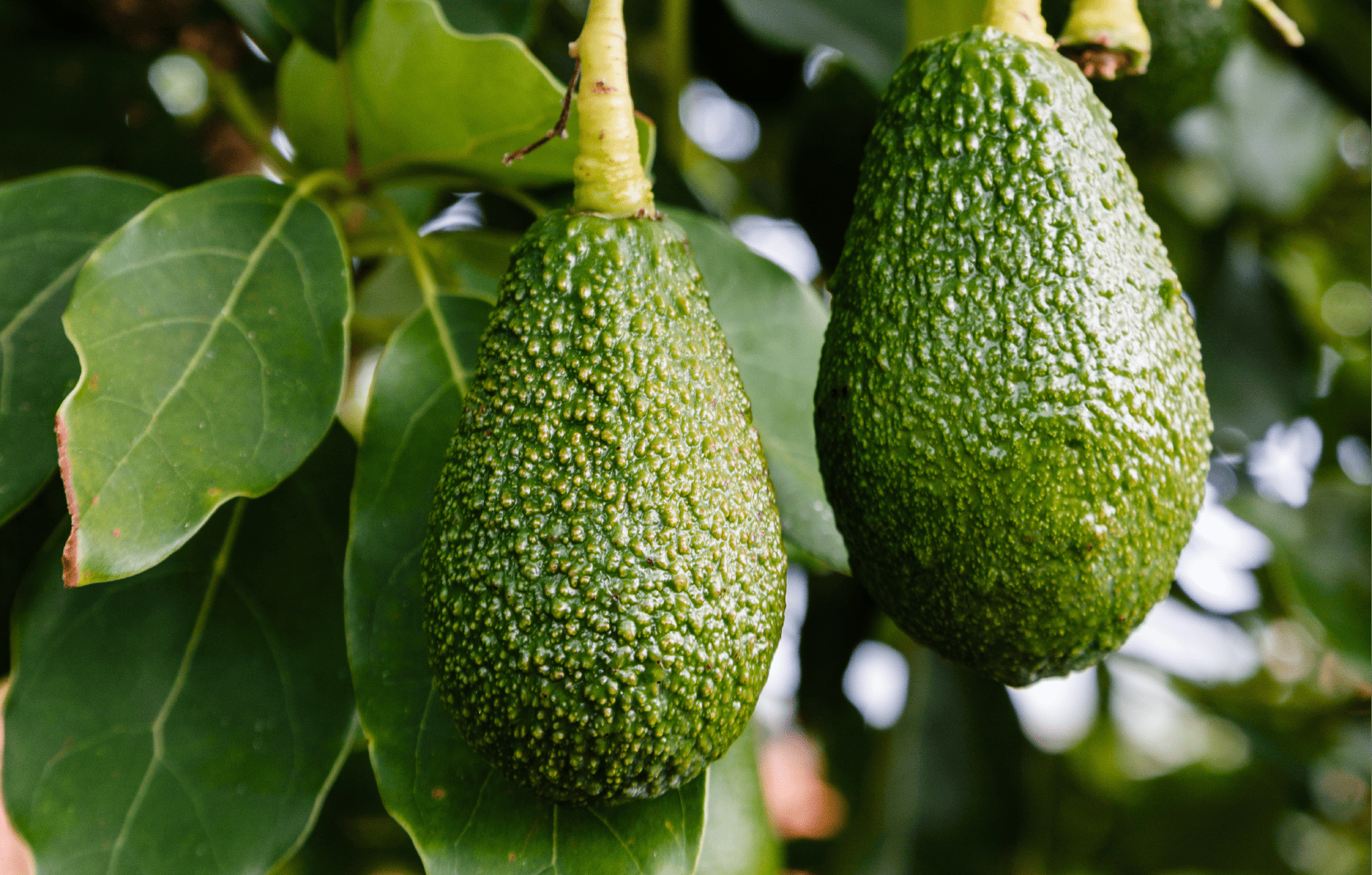 Image Stovell`s Blog