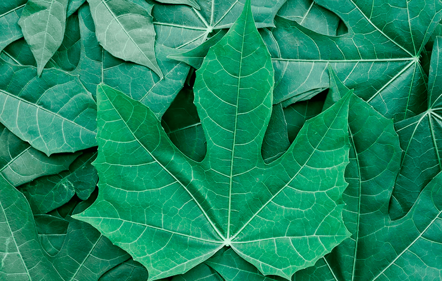 Image Stovell`s Blog