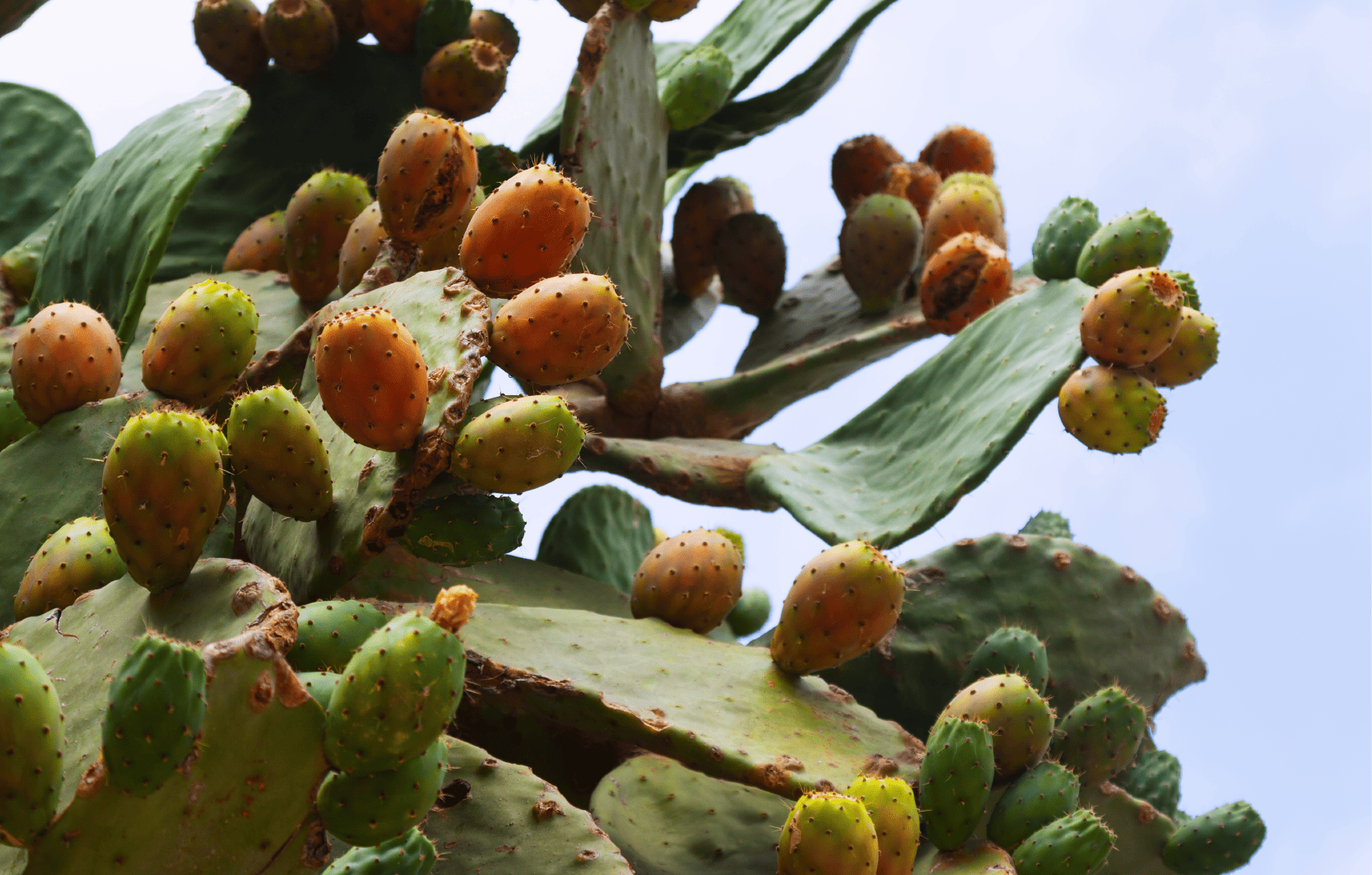 Image Stovell`s Blog