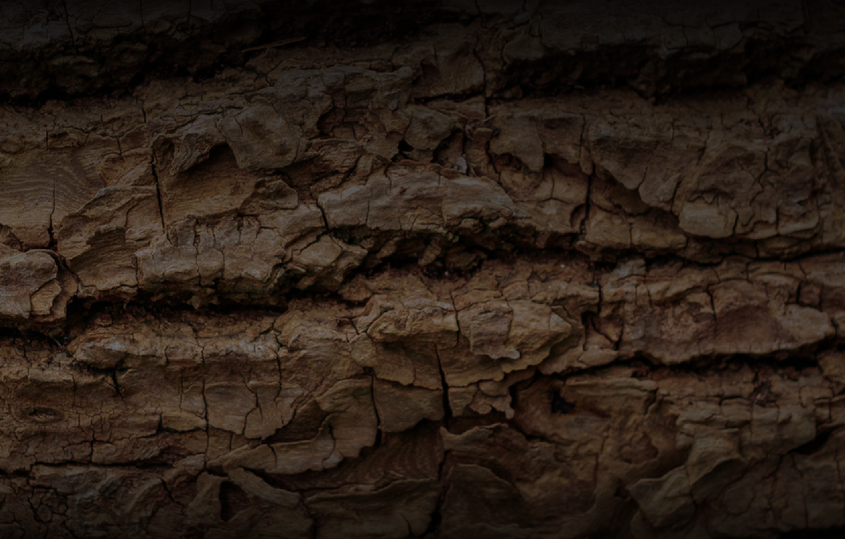 Image Stovell`s Blog