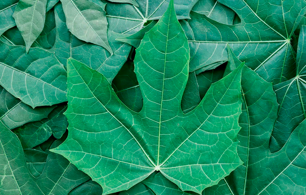 Image Stovell`s Blog