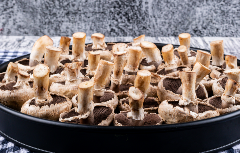 Image Stovell`s Blog