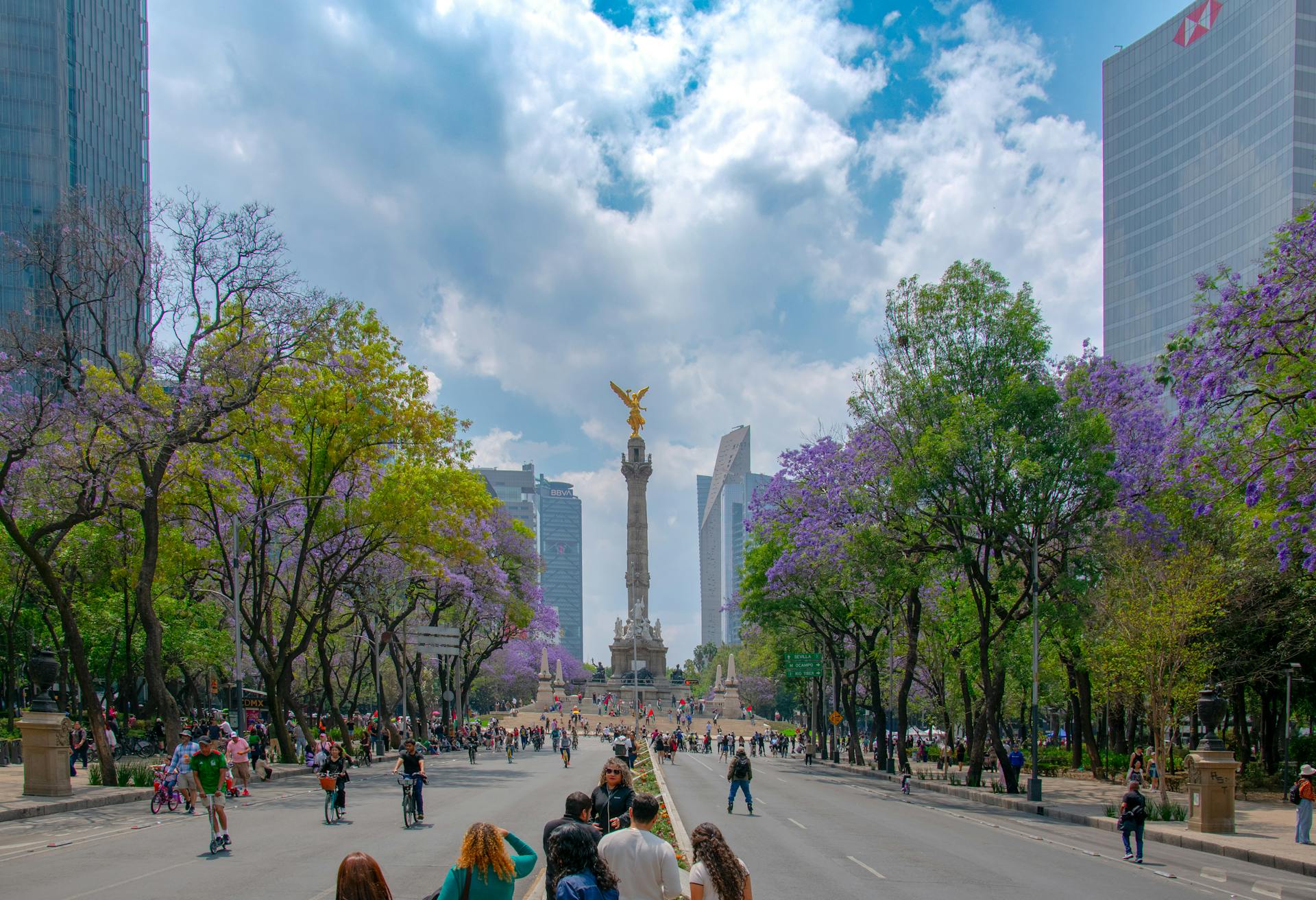 Image Stovell`s Blog