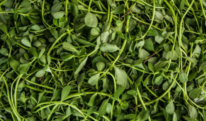 Image Stovell`s Blog